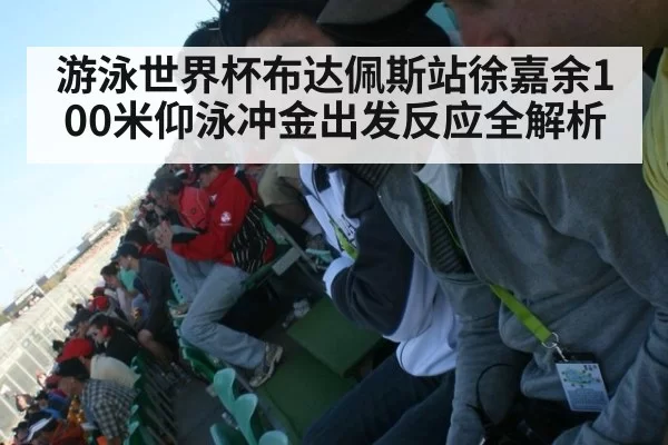 游泳世界杯布达佩斯站徐嘉余100米仰泳冲金出发反应全解析